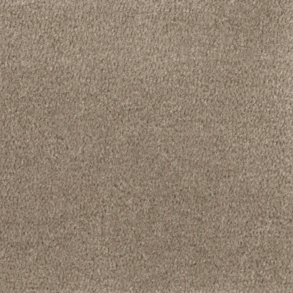 Twist Hunley Warm Taupe Carpet