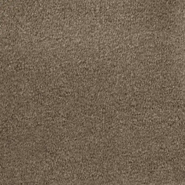 Twist Hunley Willow Carpet