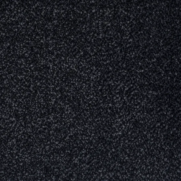 Twist Mary Rose Anthracite Carpet