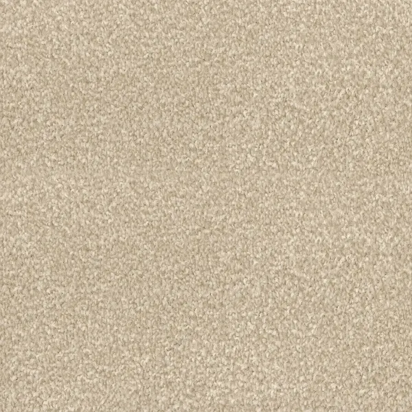 Twist Mayflower Chiffon Carpet