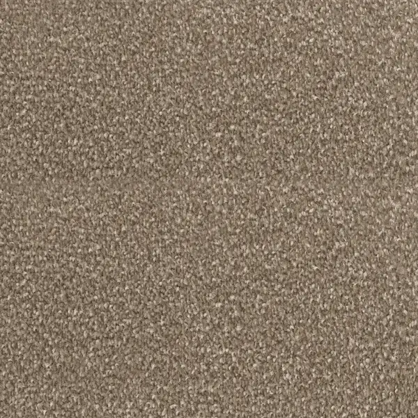 Twist Mayflower Cookie Crumble Carpet