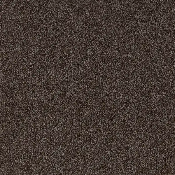 Twist Rome Charcoal Carpet
