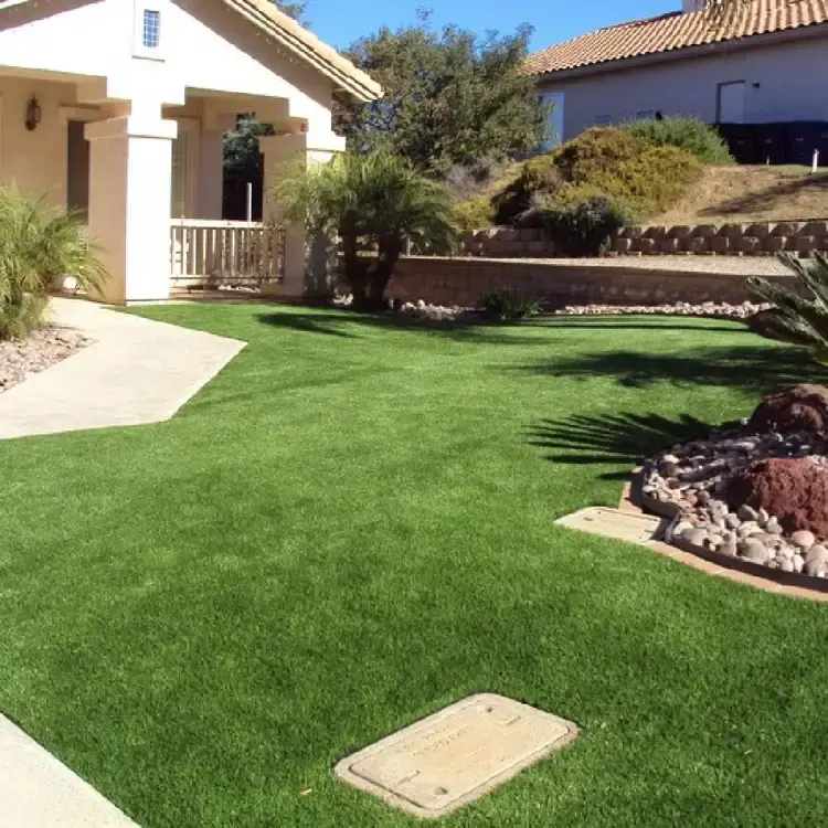 Front yard entrances Turf